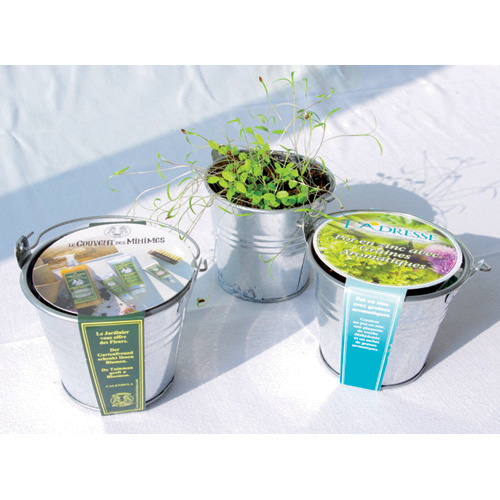 Kit plantation basilic, persil , ... - Plante - pot en zinc 8 cm